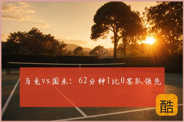 马竞vs国米:62分钟1比0客队领先